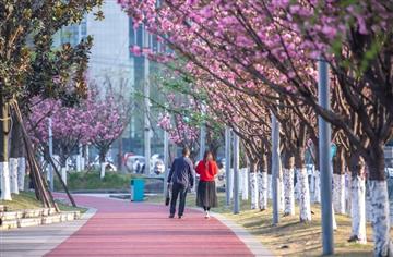 解碼公園城市|踏著綠道逛回家，讓回家的路更有溫度！
